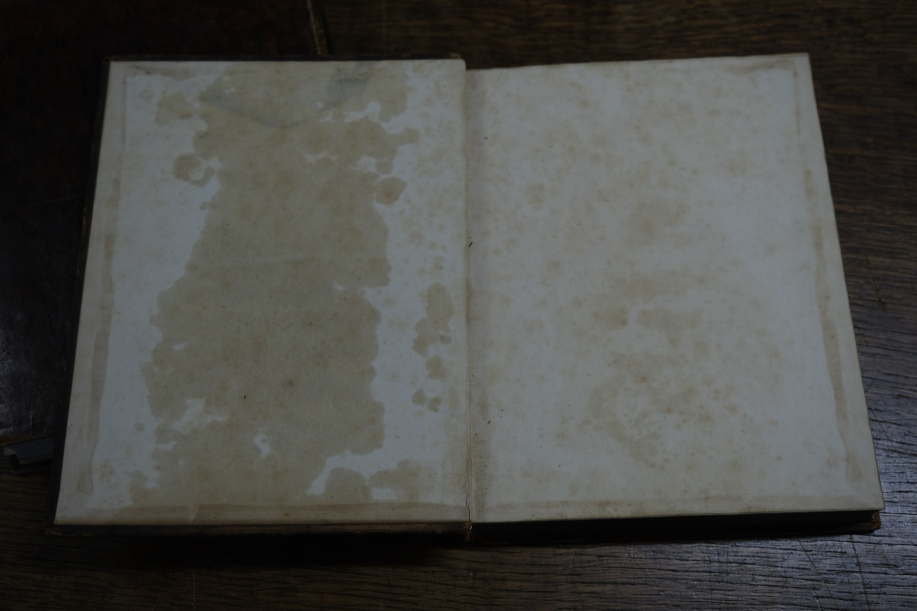 Damp staining to the endpapers