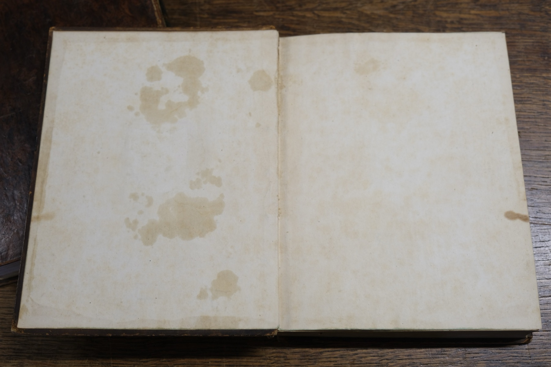 Foxing to the front free endpaper of volume II
