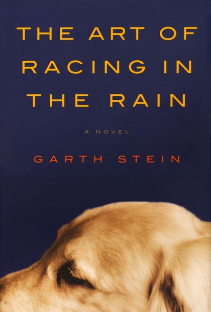 Art of Racing in the Rain, The — Garth Stein