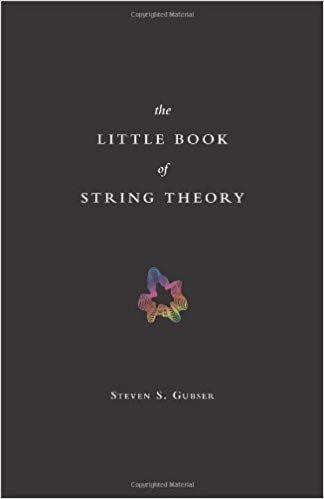 The Little Book of String Theory — Steven S. Gubser