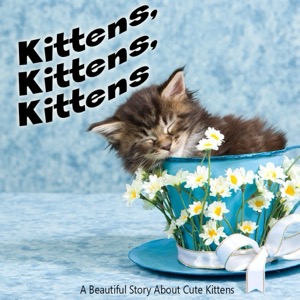 Kittens, Kittens, Kittens — Margaret Brown