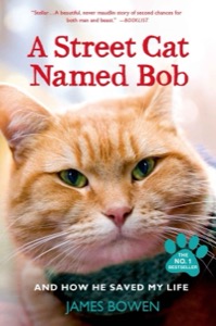 A Street Cat Named Bob — James Bowen