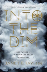 Into the Dim — Janet B. Taylor