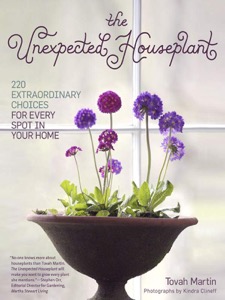 The Unexpected Houseplant: 220 Extraordinary Choices for Every Spot in Your Home — Tovah Martin