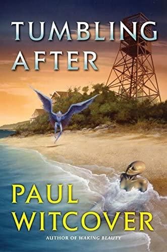 Tumbling After — Paul Witcover