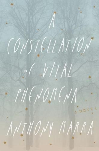 A Constellation of Vital Phenonema — Anthony Marra