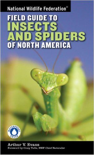 Field Guide to Insects and Spiders & Related Species of North America — Craig Tufts